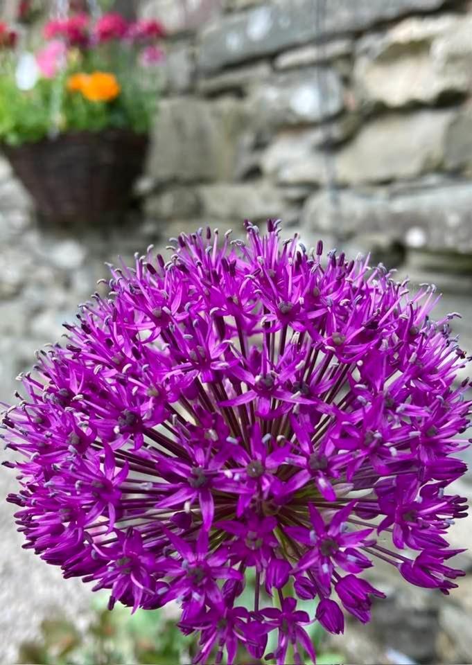 Crookabeck B&B Patterdale Kültér fotó