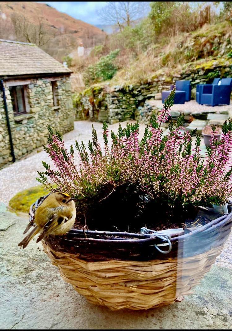 Crookabeck B&B Patterdale Kültér fotó